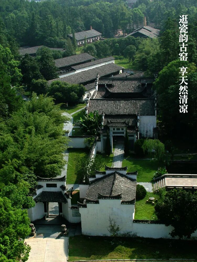 藏在森林里的秘境,清凉一整夏